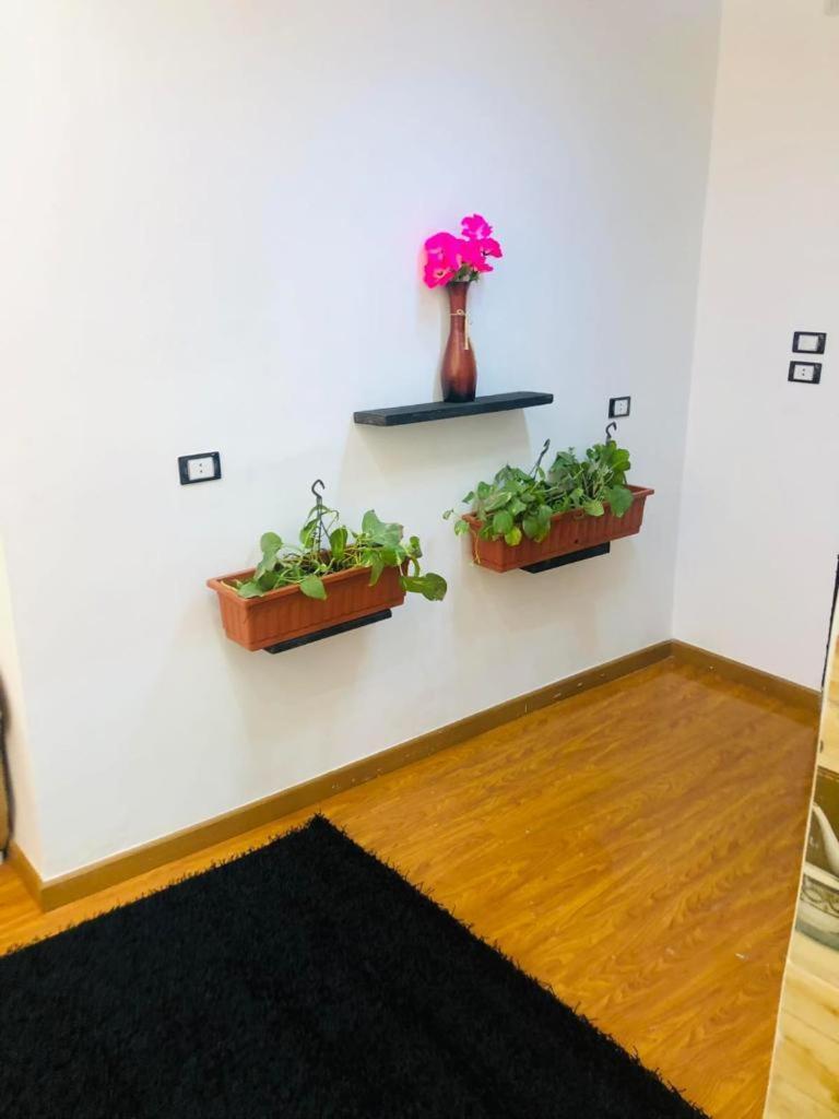 شقه مفروشه مودرن بأرقي اماكن الزمالك Apartment *